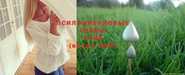 крисы Приозерск