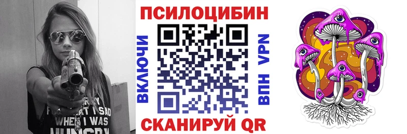 Купить закладки  Дыгулыбгей  Галлюциногенные грибы Psilocybe 